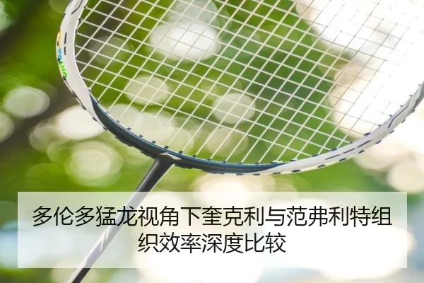 多伦多猛龙视角下奎克利与范弗利特组织效率深度比较