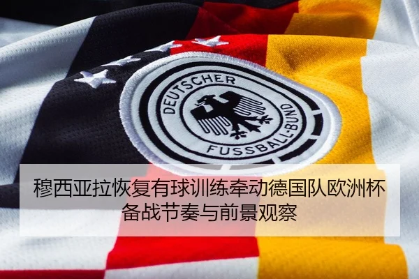 穆西亚拉恢复有球训练牵动德国队欧洲杯备战节奏与前景观察